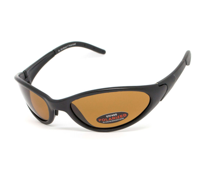 Окуляри поляризаційні BluWater Venice Polarized (brown) коричневі в чорній матовій оправі