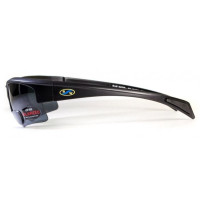 Біфокальні поляризаційні окуляри BluWater Bifocal-2 (+1.5) Polarized (gray) сірі