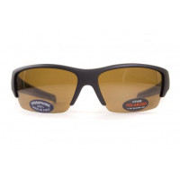 Окуляри поляризаційні BluWater Daytona-2 Polarized (brown) коричневі