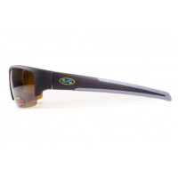 Окуляри поляризаційні BluWater Daytona-2 Polarized (brown) коричневі
