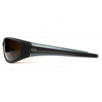 Окуляри поляризаційні BluWater Daytona-4 Polarized (brown) коричневі