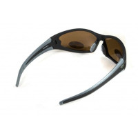 Окуляри поляризаційні BluWater Daytona-4 Polarized (brown) коричневі