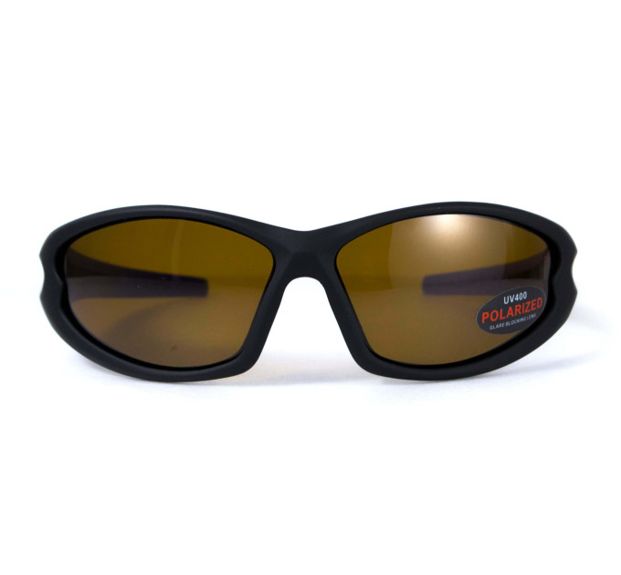 Окуляри поляризаційні BluWater Daytona-4 Polarized (brown) коричневі в чорно-синій оправі