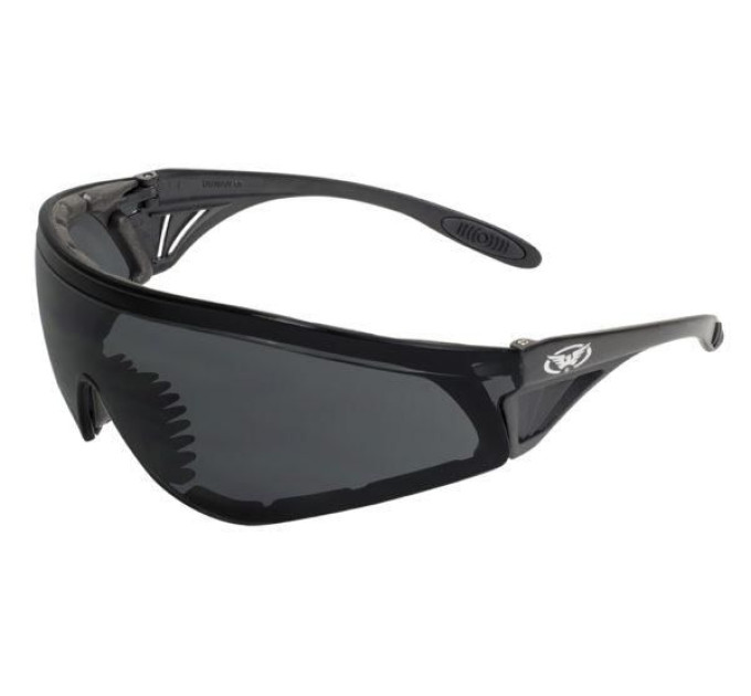 Окуляри захисні із ущільнювачем Global Vision Python (RattleSnake) (gray) сірі