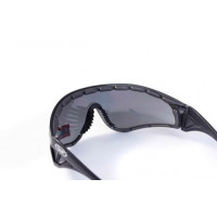 Окуляри захисні із ущільнювачем Global Vision Python (RattleSnake) (gray) сірі