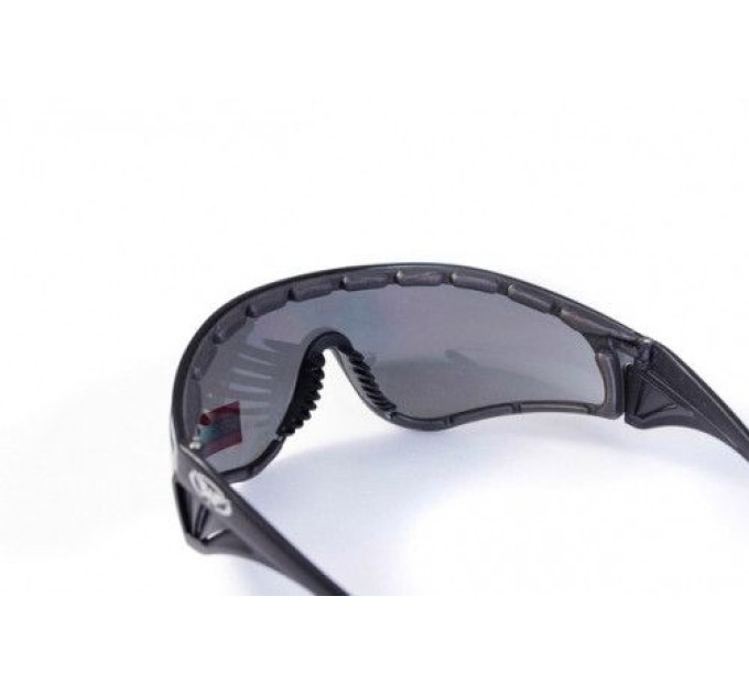 Окуляри захисні із ущільнювачем Global Vision Python (RattleSnake) (gray) сірі