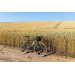 Велосипед 27,5" Pride ROCX DIRT Tour рама - S 2022 зелений