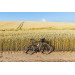 Велосипед 27,5" Pride ROCX DIRT Tour рама - S 2022 зелений