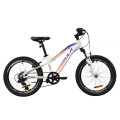 Велосипед 20" Formula BLACKWOOD 1.0 2020 (біло-фіолетовий з помаранчевим)