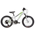 Велосипед 20" Formula BLACKWOOD 2021 (біло-зелений з сірим)