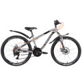 Велосипед ST 24" Discovery FLINT AM DD з крилом Pl 2022 (світло-сірий з чорним)