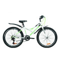 Велосипед 24" Discovery FLINT 2020 (біло-зелений)