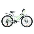 Велосипед 24" Discovery FLINT DD 2020 (бело-зеленый )