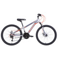 Велосипед 24" Discovery RIDER DD 2021 (серебристо-оранжевый)
