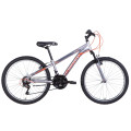 Велосипед 24" Discovery RIDER 2021 (серебристо-оранжевый)