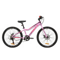 Велосипед 24" Formula ACID DD 2020 (розово-красно-фиолетовый)