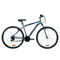 Велосипед 29" Discovery RIDER 2020 (серо-черный с синим)