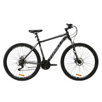 Велосипед 29" Formula THOR 1.0 2020 (чорно-сірий з білим)
