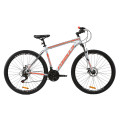 Велосипед 29" Formula THOR 1.0 2020 (серебристо-черный с красным)