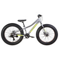 Велосипед 24" Formula PALADIN 2021 (серо-зелёный с черным)