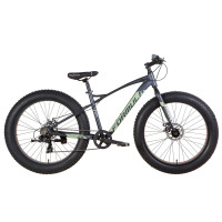 Велосипед 26" Formula PALADIN 2021 (сіро-салатний) Велосипед 26" Formula PALADIN 2021 (сіро-салатний)